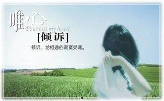 耹听你的心声,共鸣人生