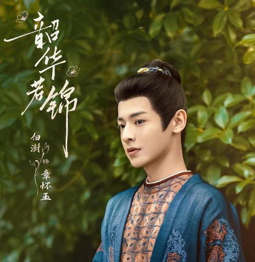 韶华若锦,青春岁月的绚丽篇章